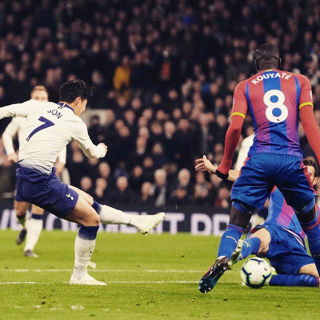 的冠军归属 的冠军归属